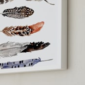"Feather Print" - Art Print in neutrals by Shannon Kirsten - Frame Close-up