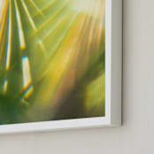 "Palm Fronds" - Art Print in Palm green by Tommy Kwak - Frame Close-up