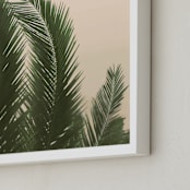 "Tropical Palm Tree" - Art Print in Golden by Wilder California - Frame Close-up