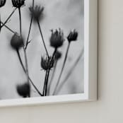 "Autumn detail" - Art Print in Fog by Magdalena Kucova - Frame Close-up