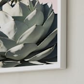 "Pink Agave" - Art Print in Blush by Wilder California - Frame Close-up