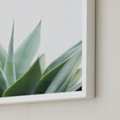 "Balboa Park" - Art Print in Sage by Ester M Nersisyan - Frame Close-up