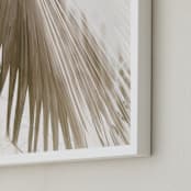 "Vanilla Palm" - Art Print in Day by Owl and Toad - Frame Close-up
