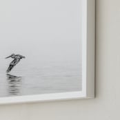 "Pelican on Lake" - Art Print in Medium Grey by Mary Ann Glynn-Tusa - Frame Close-up