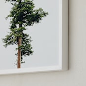 "Solo" - Art Print in spring rain by Kamala Nahas - Frame Close-up