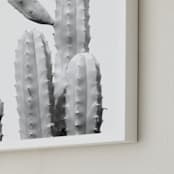 "Moorten Cactus Study 1" - Art Print in Silver Grey by Lisa Sundin - Frame Close-up