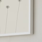 "Dandelions" - Art Print in Ivory by Jorey Hurley - Frame Close-up