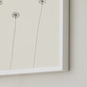 "Dandelions" - Art Print in Ivory by Jorey Hurley - Frame Close-up