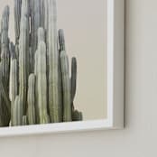 "Summer Yellow Cactus" - Art Print in summer palette by Wilder California - Frame Close-up