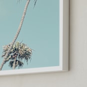 "Palms for Days" - Art Print in Pale Turquoise by Shannon Howard - Frame Close-up