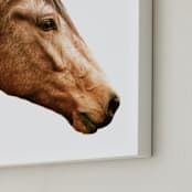 "Dominant Spirit" - Art Print in Chestnut by Robin Ott - Frame Close-up