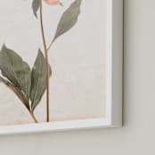 "a pink peony standing gracefully" - Art Print in vintage roseate by Qing Ji - Frame Close-up