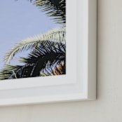 "Palm I" - Art Print in Sky Blue by Annie Montgomery - Frame Close-up