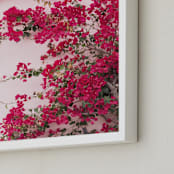 "Bright Bougainvillea" - Art Print in Bright Pink by The One With Wanderlust - Frame Close-up