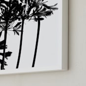 "High Drama" - Art Print in Black and White by Nadia Hassan - Frame Close-up