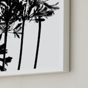 "High Drama" - Art Print in Black and White by Nadia Hassan - Frame Close-up