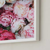 "peony palette" - Art Print in peony pink by Marabou Design - Frame Close-up