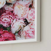 "peony palette" - Art Print in peony pink by Marabou Design - Frame Close-up