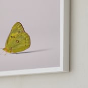 "Tiny Wings" - Art Print in Dusty Pink by Andrew McClintock - Frame Close-up