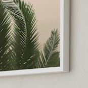 "Tropical Palm Tree" - Art Print in Golden by Wilder California - Frame Close-up