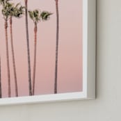 "Seven Palmtrees" - Art Print in Warm rosy sunset by Lisa Sundin - Frame Close-up