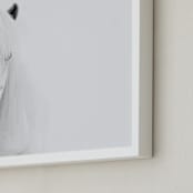 "Dalla" - Art Print in Snow by Irene Suchocki - Frame Close-up
