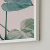 "Botanical No. 38" - Art Print in Petal by Jennifer Rigsby - Frame Close-up