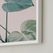 "Botanical No. 38" - Art Print in Petal by Jennifer Rigsby - Frame Close-up