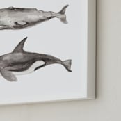 "Three Stacked Whales" - Art Print in Grey by Two if by Sea Studios - Frame Close-up
