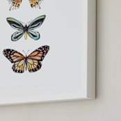 "Butterfly Colorful Watercolors" - Art Print in Butterfly wing black by Lauren Rogoff - Frame Close-up