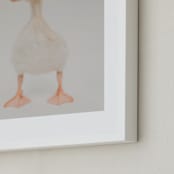 "quack quack" - Art Print in sand stone taupe by Alicia Abla - Frame Close-up