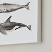 "Three Stacked Whales" - Art Print in Grey by Two if by Sea Studios - Frame Close-up