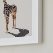 "Baby Giraffe" - Art Print in safari by Kamala Nahas - Frame Close-up