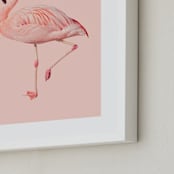 "Pink Flamingo" - Art Print in Pink by Jessica C Nugent - Frame Close-up