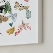 "Moths" - Art Print in Moss Green by Emilie Simpson - Frame Close-up