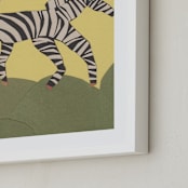 "Black and White Horse" - Art Print in soft yellow sunlight by Elliot Stokes - Frame Close-up
