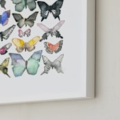 "Watercolor Butterfly Collection" - Art Print in Lush Meadow by Heidi Lowell - Frame Close-up