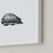 "pétit hérisson" - Art Print in Black by IMG_101 - Frame Close-up