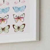 "Butterfly Study" - Art Print in Blush by Megan Kelso - Frame Close-up