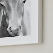 "Wild and free." - Art Print in Charcoal by Dawn Smith - Frame Close-up