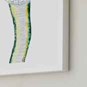 "Baby Animal Snake" - Art Print in Jade by Cass Loh - Frame Close-up