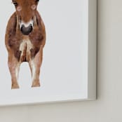 "Baby Animal Horse" - Art Print in caramel truffle by Cass Loh - Frame Close-up