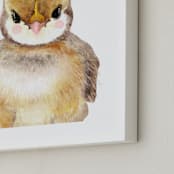 "Baby Animal Rooster" - Art Print in Morning Sunlight by Cass Loh - Frame Close-up