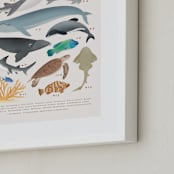 "Ocean animals endangered" - Art Print in Ivory by Sabrin Deirani - Frame Close-up