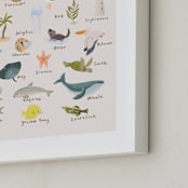 "Sea Alphabet" - Art Print in Blush by Kate Blalock - Frame Close-up