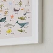 "Sea Alphabet" - Art Print in Blush by Kate Blalock - Frame Close-up