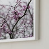 "Meet Me in the Park" - Art Print in Redbud Blossom by Karen Kaul - Frame Close-up