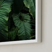 "The Jungle Room" - Art Print in Emerald Green by Owl and Toad - Frame Close-up