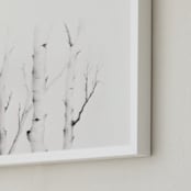 "Mytoi Tree 03" - Art Print in Birch Grey by jinseikou - Frame Close-up