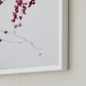 "Botanica I" - Art Print in Fuschia by Blustery August - Frame Close-up